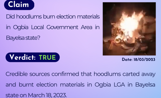 Did hoodlums burn election materials in Ogbia Local Government Area in Bayelsa state?
