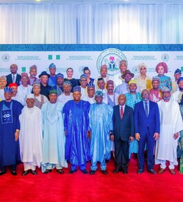 Too Big to Fail? Evaluating the Tinubu Cabinet