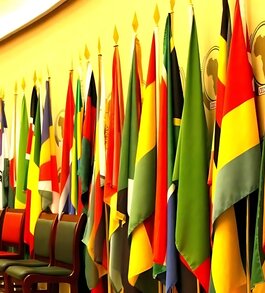 Non-Governmental Organisations in Africa Can Survive Without Foreign Aid