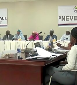 Post-Dictatorship Gambia: A Slow March to Democratic Stability?